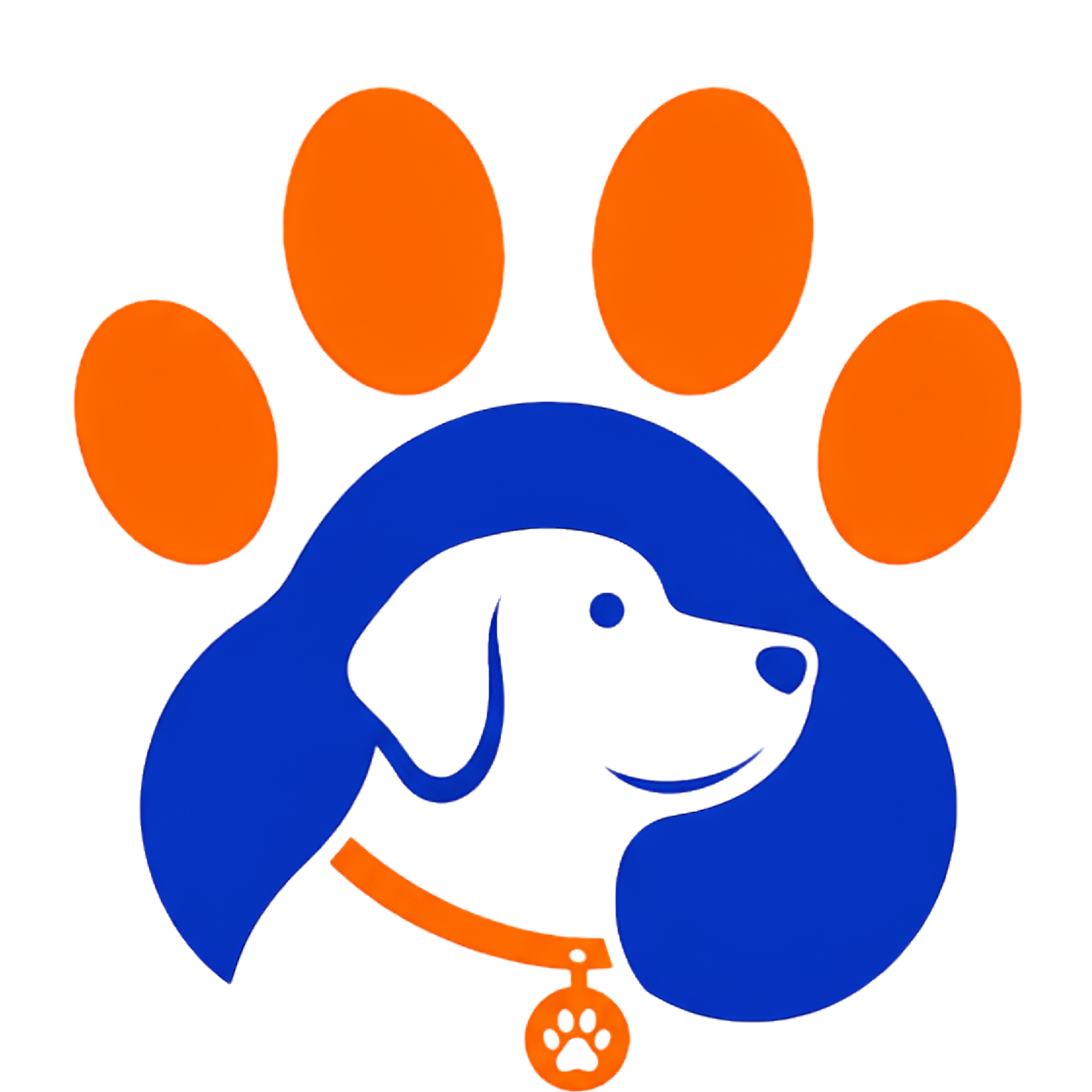 Pawzone | אילוף כלבים פרטי במרכז